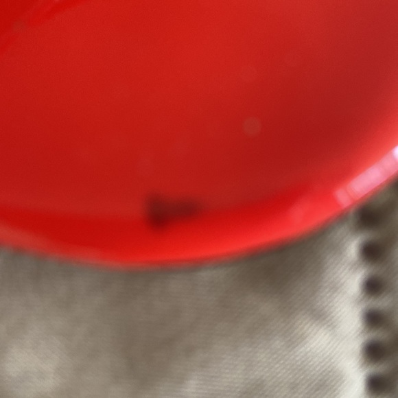 Jimmy Choo Sandals -Today Only!!!! - Picture 4 of 8